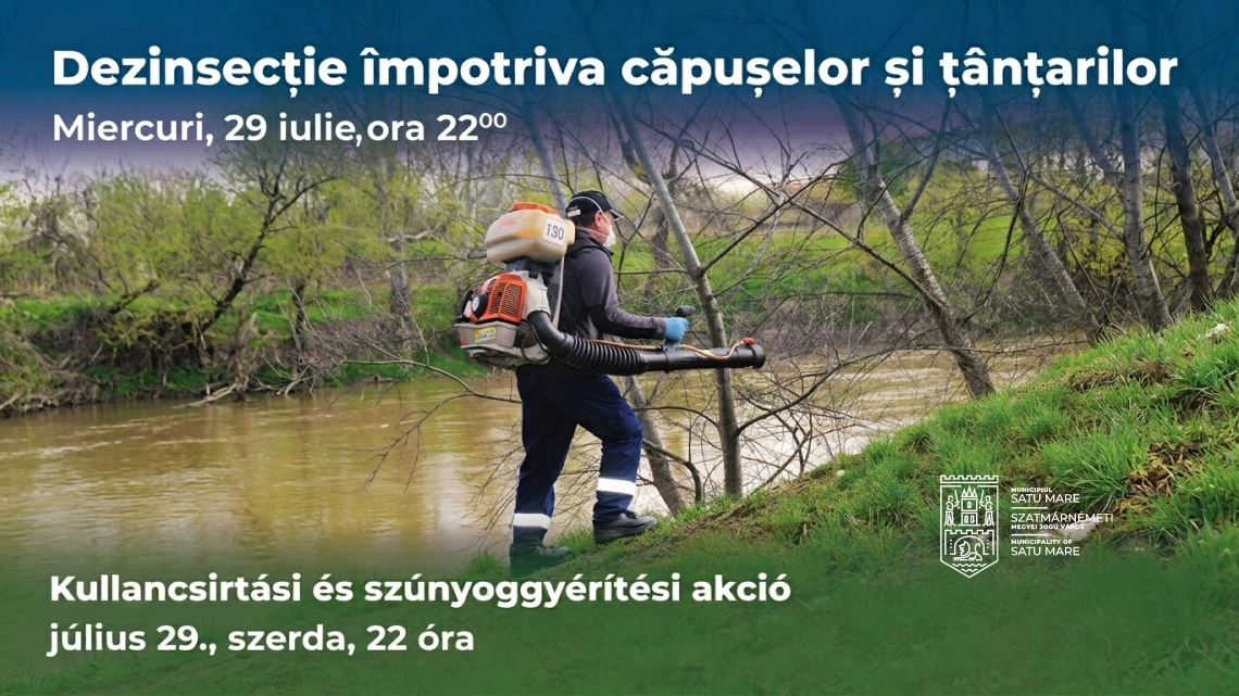 KÖZLEMÉNY
