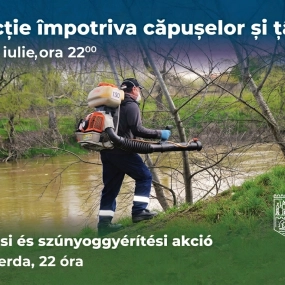 Anunț