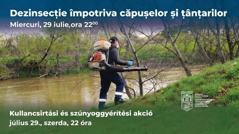 KÖZLEMÉNY