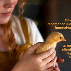 Măsuri împotriva gripei aviare recomandate de DSVSA