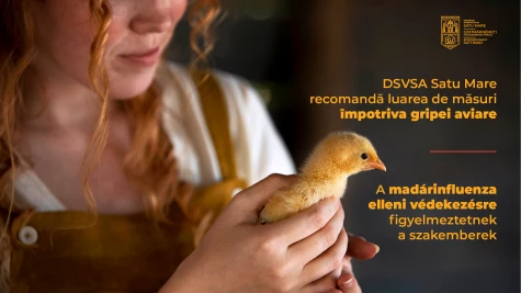 DSVSA Satu Mare recomandă luarea de măsuri împotriva gripei aviare