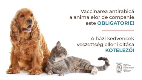 Proprietarii de câini și pisici au obligația de a-și vaccina antirabic animalele