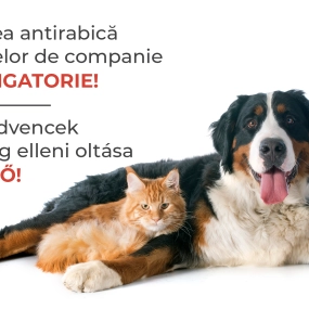Începe campania de vaccinare antirabică