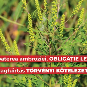 În atenția deținătorilor de terenuri!